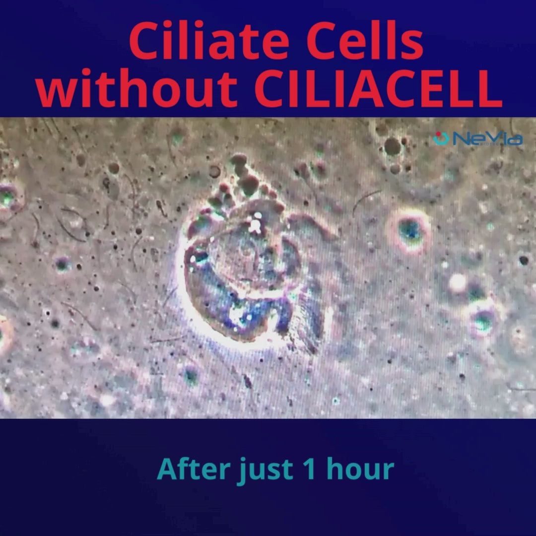 Carica video: CiliaCell Spray Nasale - Bambini